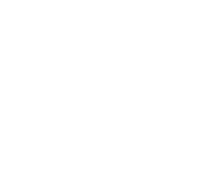 TrenchDogsWhite