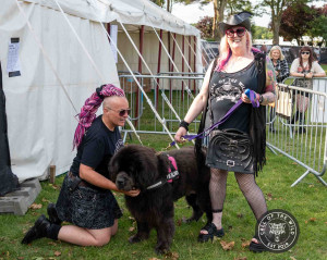 Crowd Photos batch four-10